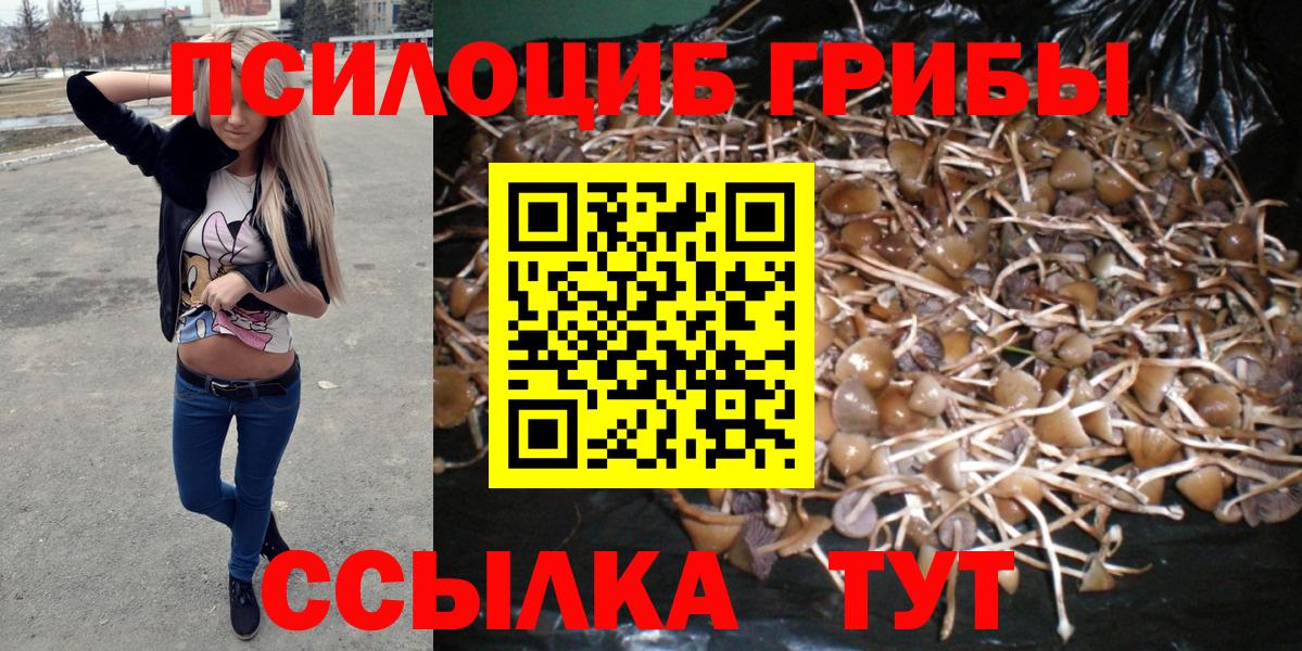 Псилоцибиновые грибы MAGIC MUSHROOMS  Галлюциногенные грибы ЛСД  Калуга  Вход с VPN 