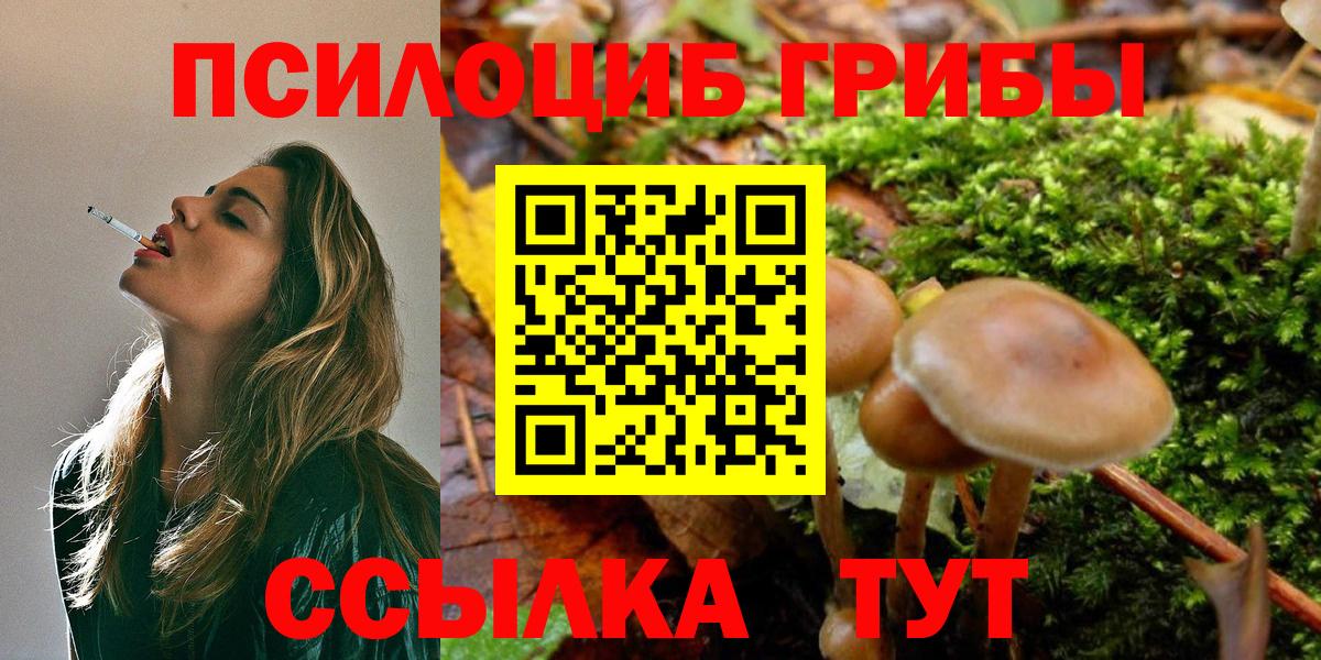Псилоцибиновые грибы прущие грибы Калуга